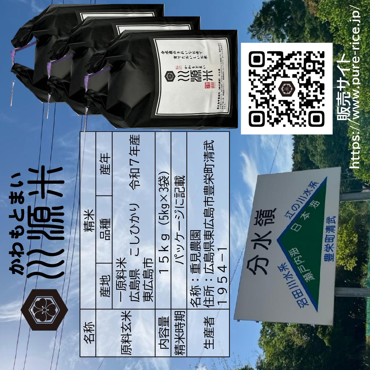 川源米　令和7年産こしひかり　出荷直前精米　15kg(5kg×3袋)