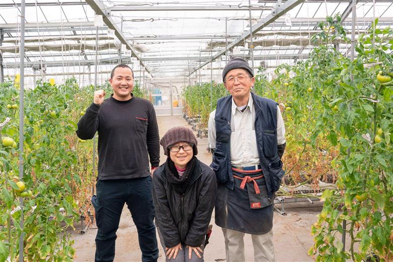 アグライズ トマト撫子 約4kg【配送時期：6月～12月】【冷蔵配送：6月～10月】