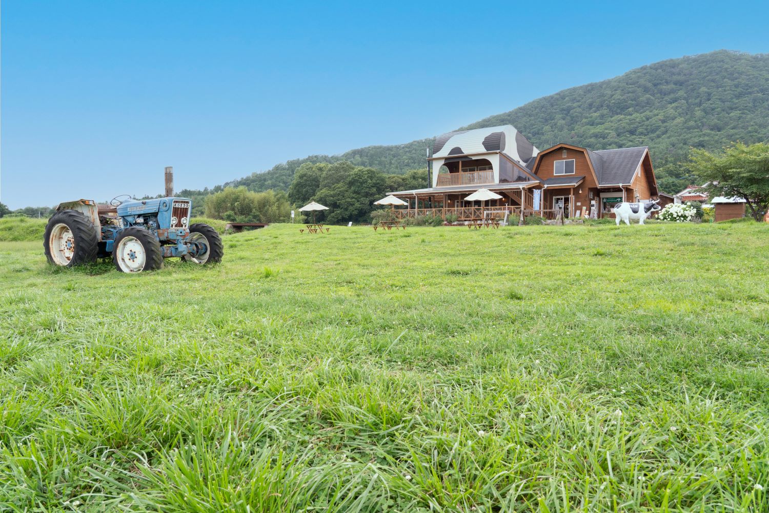 牧場直送十夢ジェラート6個、生キャラメル2袋セット【配送不可：離島】