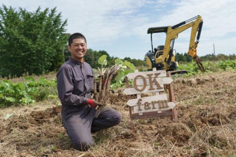 ごぼうの爽やかな香りと、バリバリ食感がたまらない【バリバリごぼう】(130g×12袋)