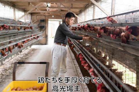 豊栄米付き 広島へそ丼セット