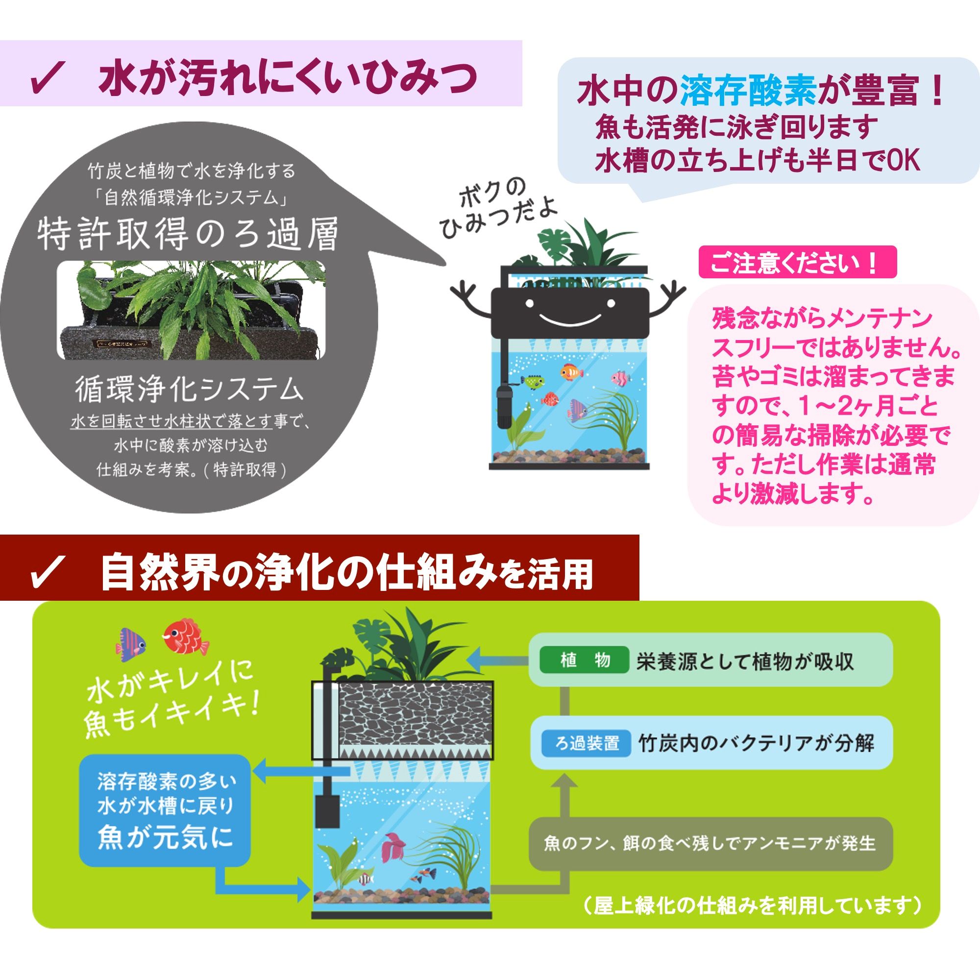 せせらぎビオトープ　25cm型基本+照明セット（ドラセナ＋他1種）