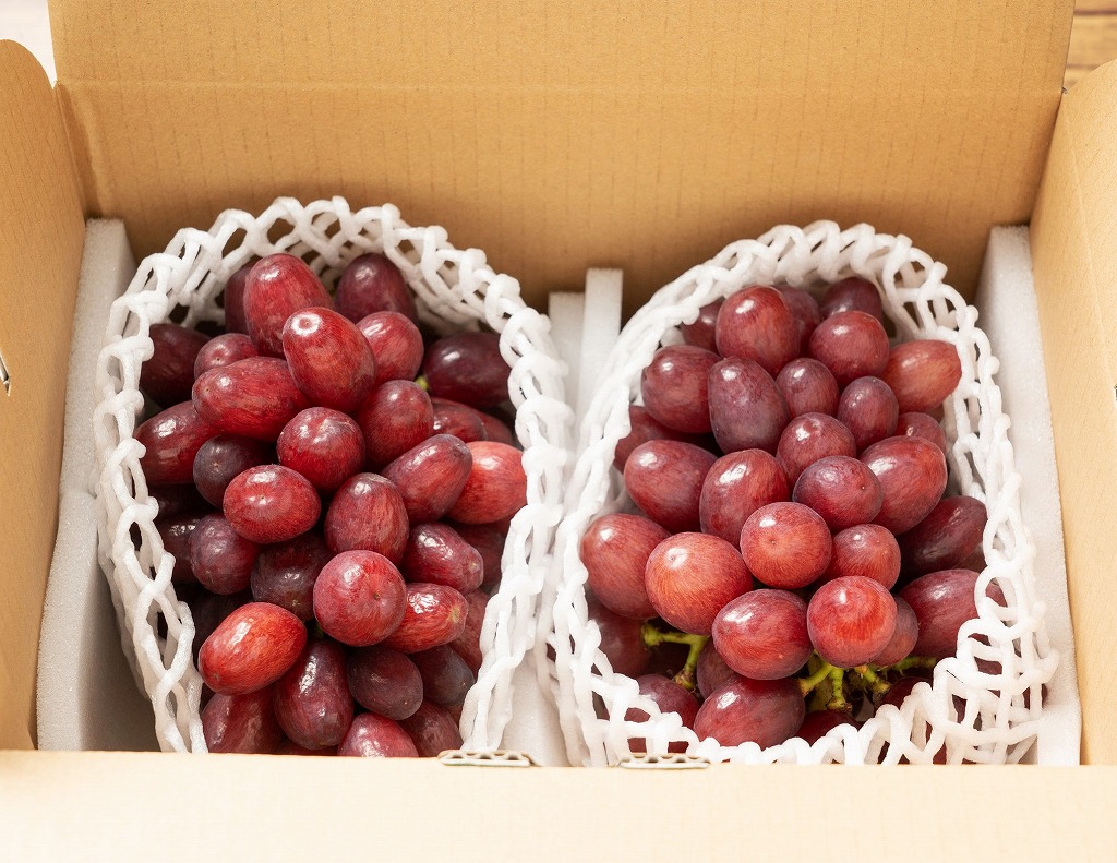 【2026年発送分先行予約】クイーンセブン　2房（約1ｋｇ）　8月中旬発送　広島　農家直送・新鮮朝採り　【配送不可：離島】【※お届け日指定不可】