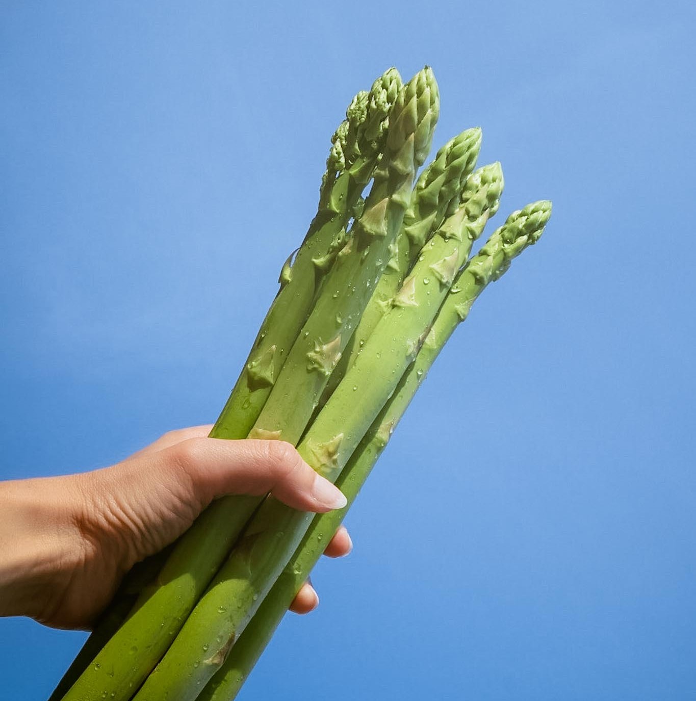 【予約商品】朝採れ直送 すいーとアスパラ（規格外品） 2kg【配送時期:4月上旬～10月上旬】