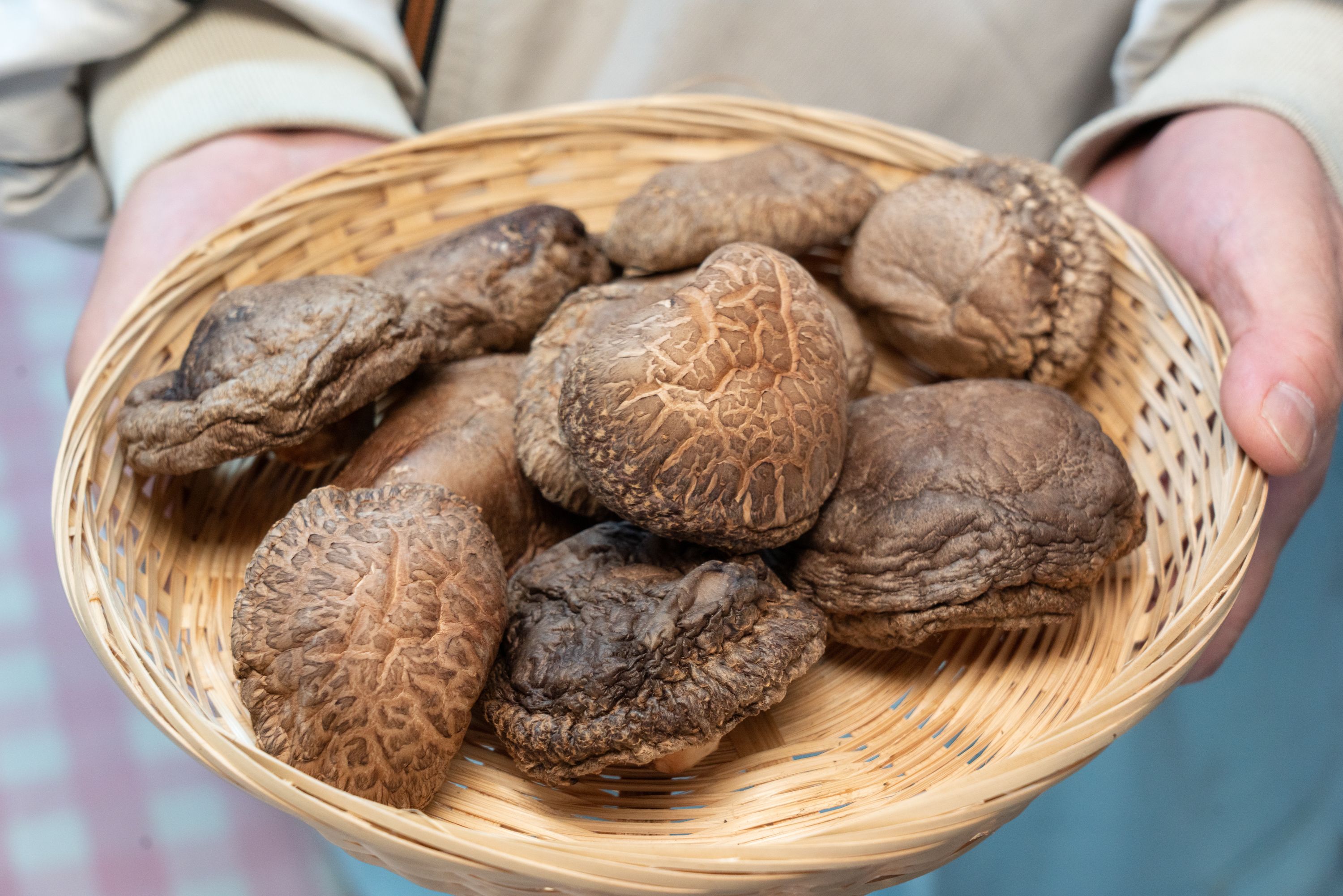 西条鰹ふりだし50包入り、原木しいたけ50gセット