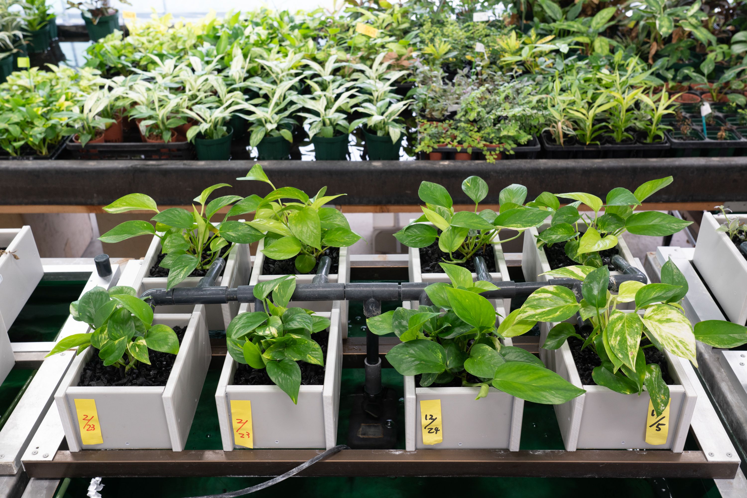 せせらぎビオトープ　45cmろ過装置・縁あり水槽用（※水槽はついていません）