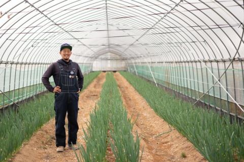 ねぎ農家がつくったサムライねぎ餃子96個(16個ｘ6パック)