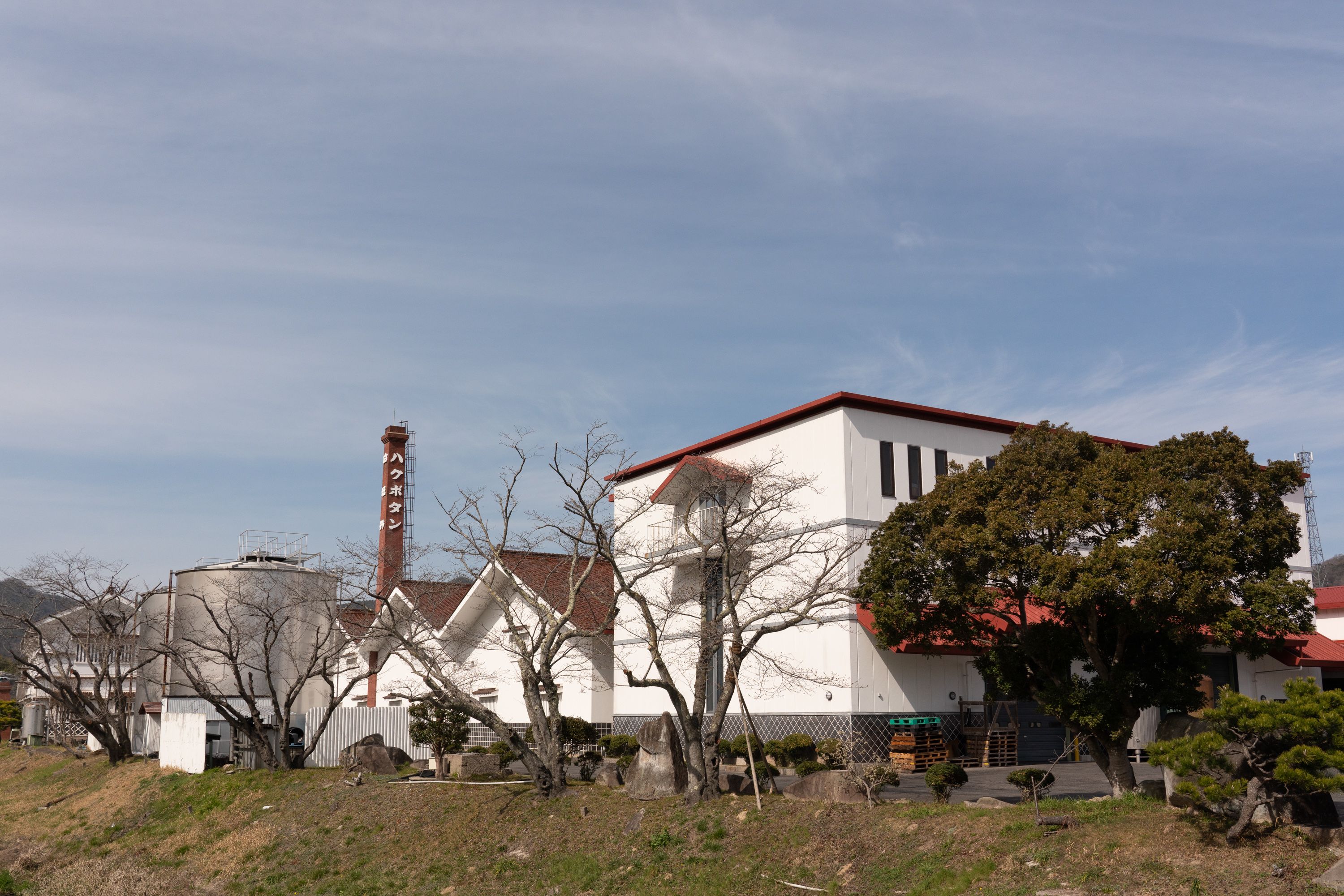 白牡丹　純米サンフレカップ２００ｍｌ×１５本