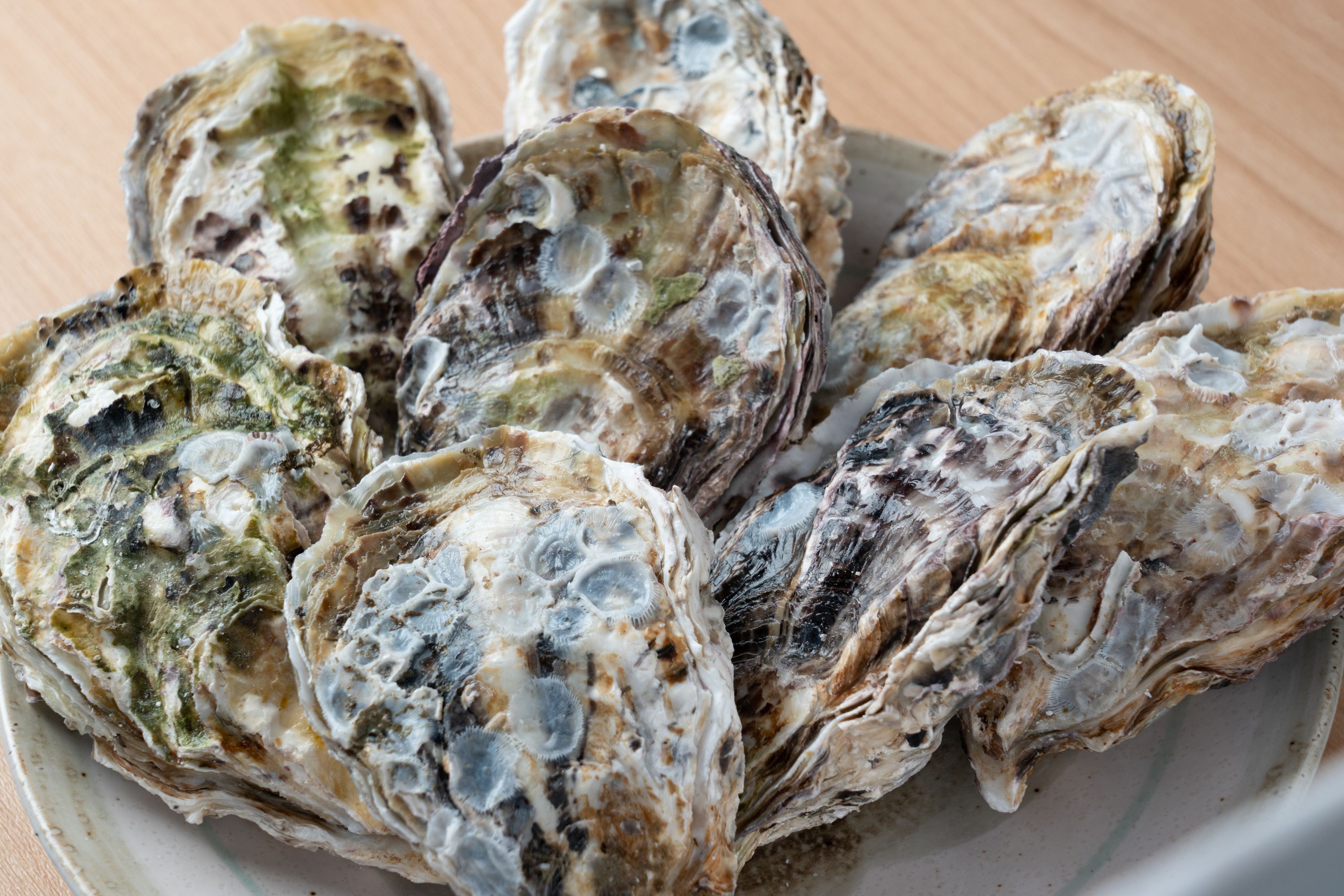 広島安芸津産　牡蠣むき身1.0kg・殻付き牡蠣25個セット【配達不可：離島】【配送時期:2026年3月～4月中旬】