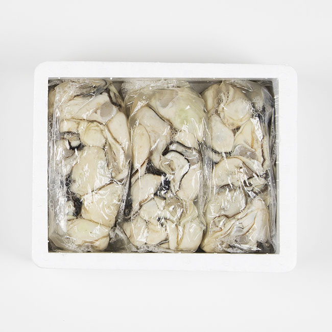 広島安芸津産　生牡蠣むき身1.5kg【配達不可：離島】【配送時期:2026年3月～4月中旬】