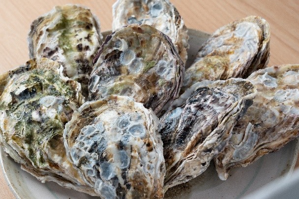 広島安芸津産　生牡蠣むき身2.0kg .殻付き牡蠣30個セット【配達不可：離島】【配送時期:2026年3月～4月中旬】