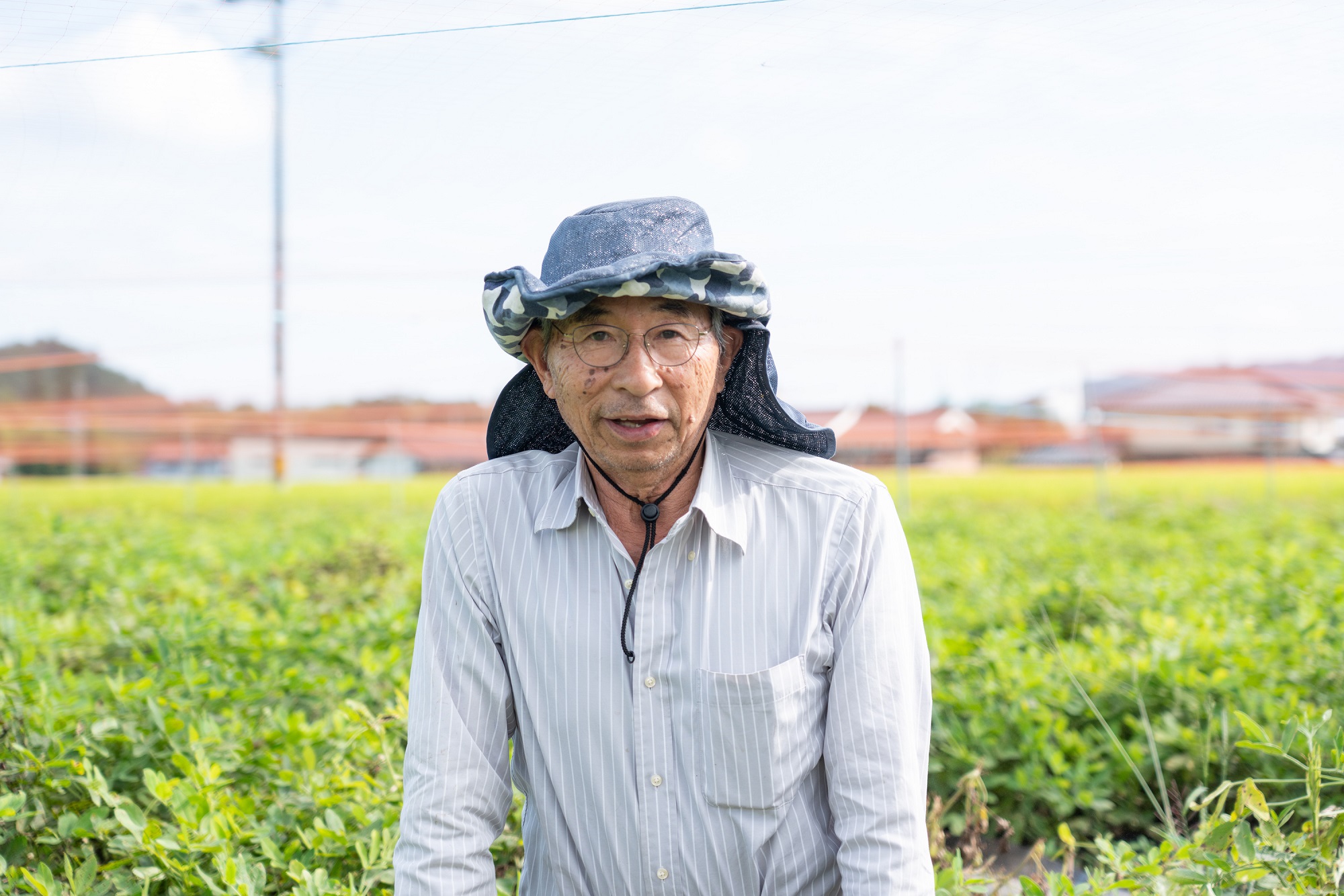 アグリ・アライアンス　焙煎落花生　ちばはんだち　100g×3個　TUTITONE　千葉半立（※現在お届けまでに最大3ヶ月程頂いております。）