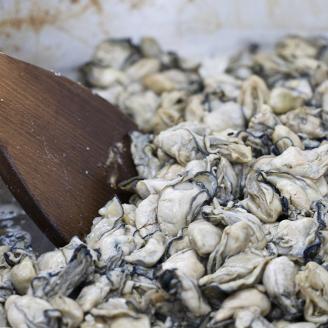 広島安芸津産　牡蠣オリーブオイル漬け2種セット(OL-2)