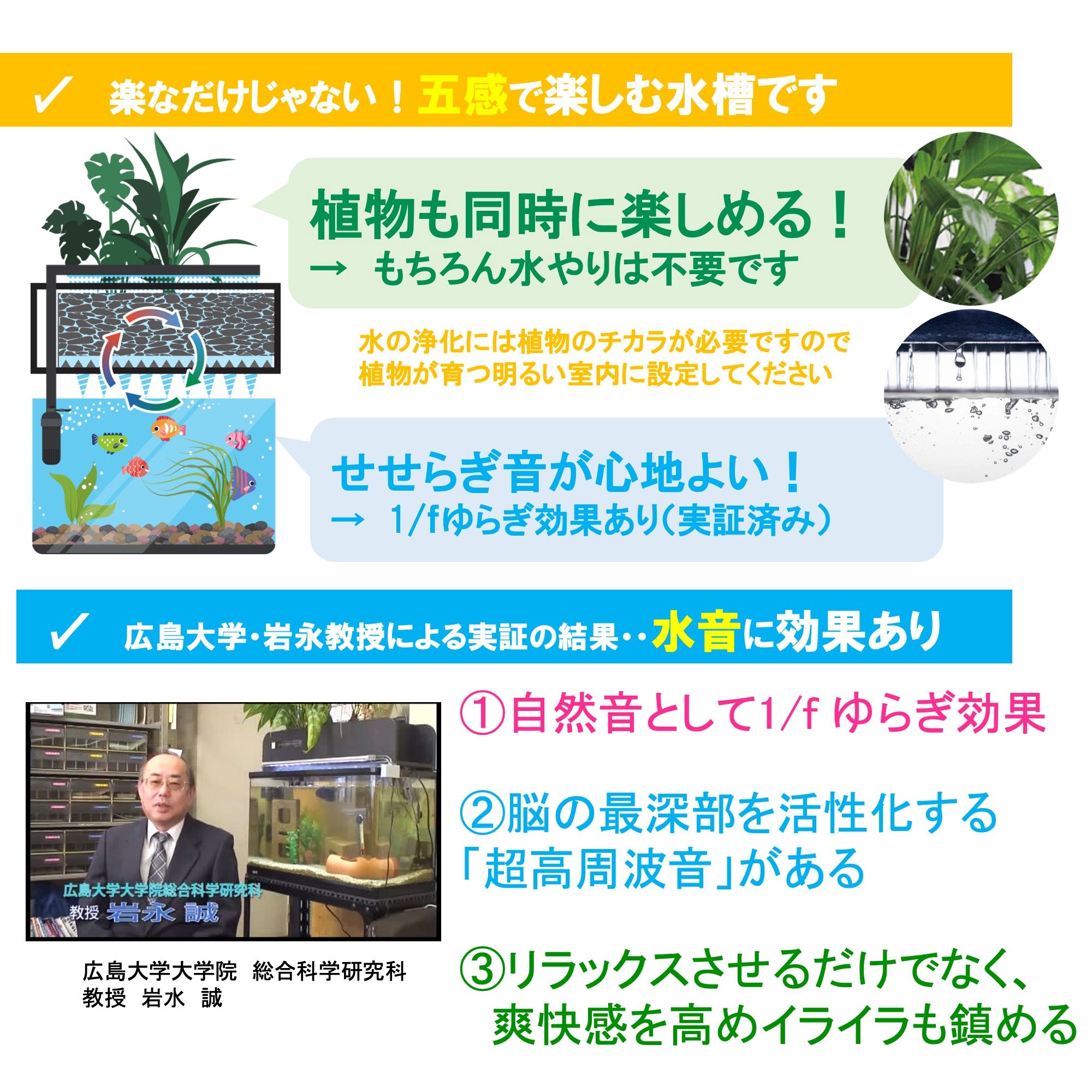 せせらぎビオトープ　25cm型基本+木枠台セット（ガジュマル＋他1種）