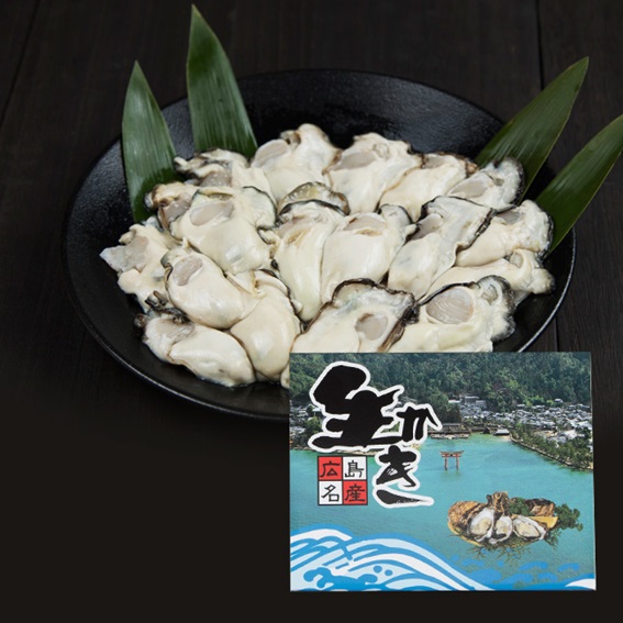 広島安芸津産　生牡蠣むき身1.5kg【配達不可：離島】【配送時期:2026年3月～4月中旬】