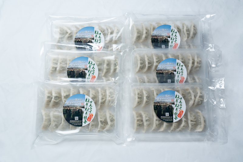 ねぎ農家がつくったサムライねぎ餃子96個(16個ｘ6パック)