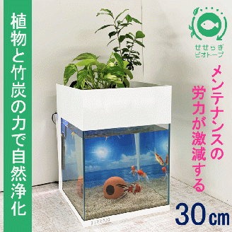 水槽セット せせらぎビオトープ アクアリウム 30cm 照明 スチールカバー 観賞魚: 東広島市ANAのふるさと納税