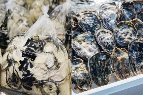 【予約商品】牡蠣　広島　むき身牡蠣300ｇ＆殻付き牡蠣（８個～10個）　矢野水産【配送不可：離島】【配送時期：2026年1月上旬～2026年4月上旬】