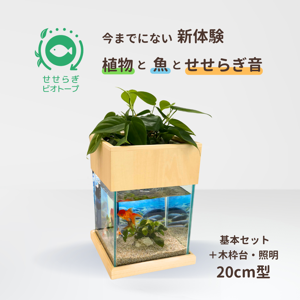 せせらぎビオトープ　20cm型基本照明＋木枠台セット