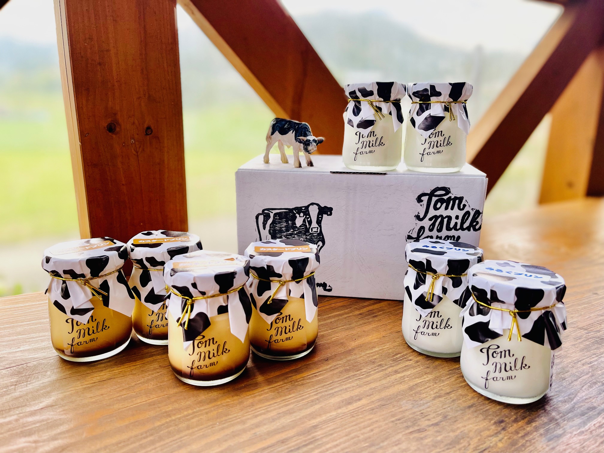 牧場しぼりたて牛乳の十夢プリンセット【配送不可：離島】