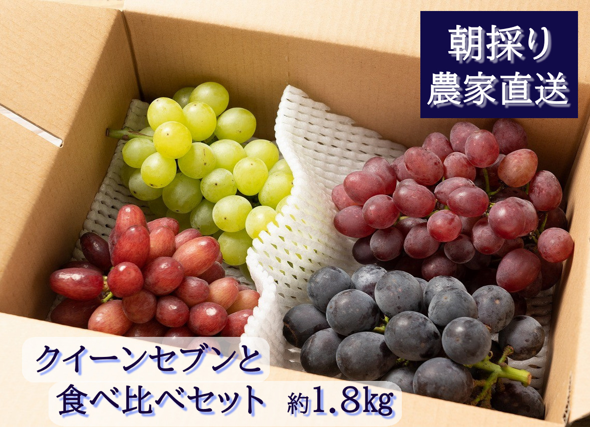 【2026年発送分先行予約】クイーンセブンと食べ比べセット（約2ｋｇ）　8月中旬発送　広島　農家直送・新鮮朝採り　【配送不可：離島】【【※お届け日指定不可】
