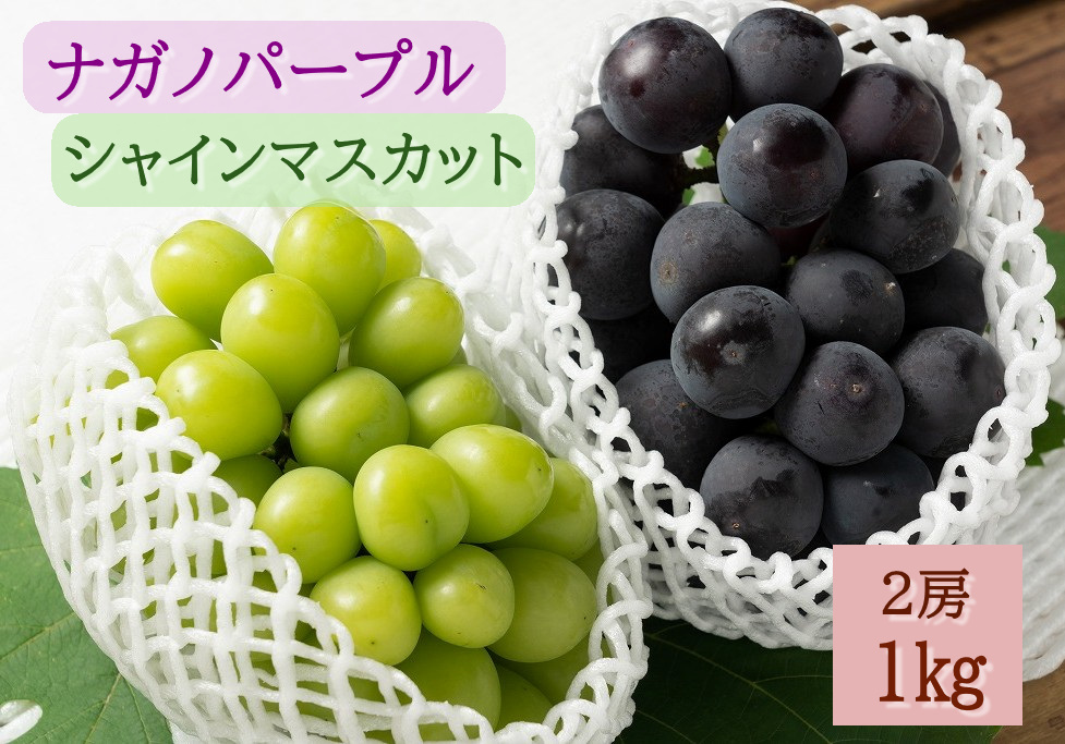 【2026年発送分先行予約】ナガノパープル・シャインマスカット　2房セット（約1kg）　8月下旬発送　広島　農家直送・新鮮朝採り【配送不可：離島】【※お届け日指定不可】