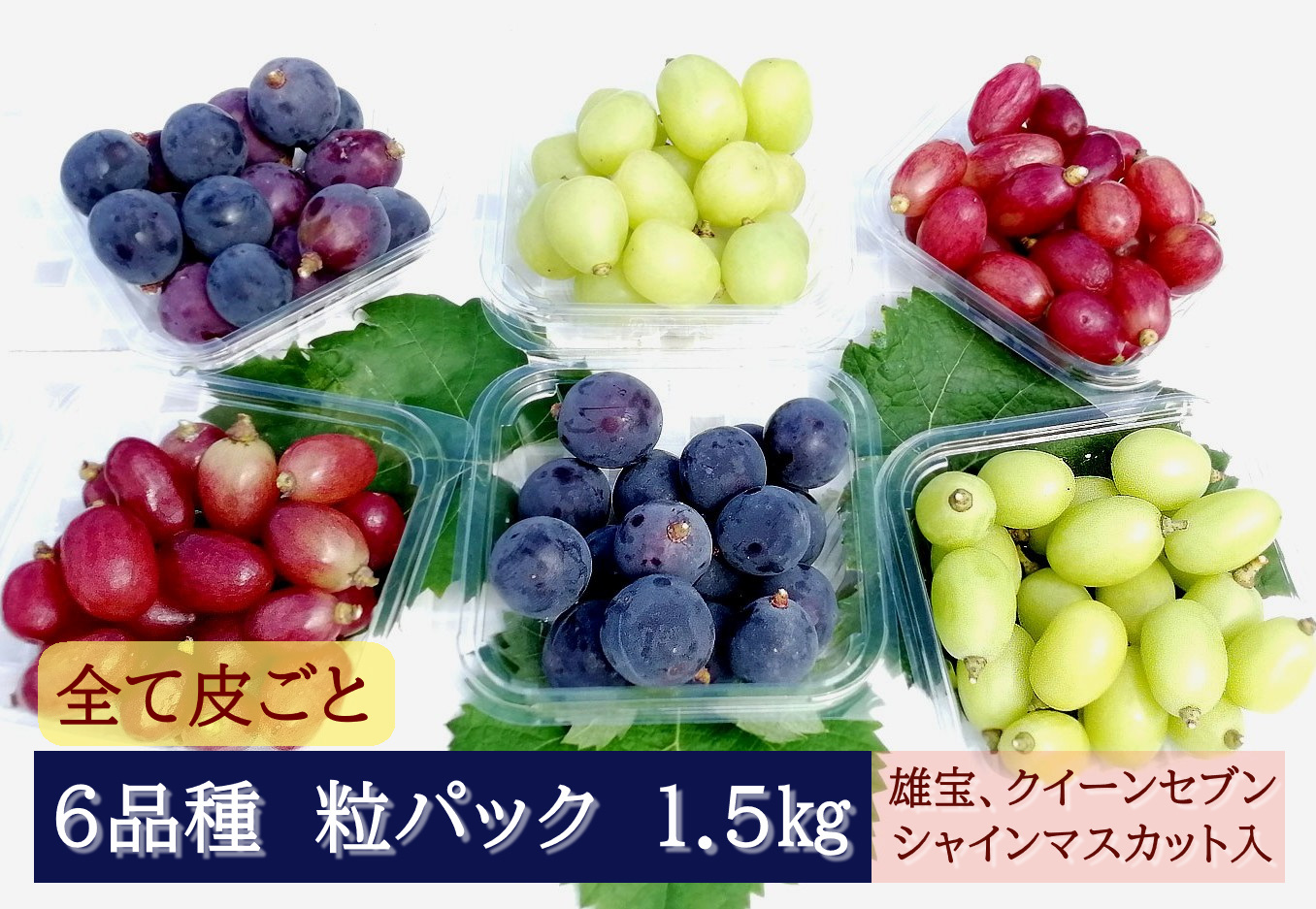 【2026年発送分先行予約】全部皮ごと・農家自慢の6品種パック 1.5kg　ナガノパープル・クイーンセブン・雄宝入り　250gパック×6個　8月下旬発送【配送不可：離島】【※お届け日指定不可】