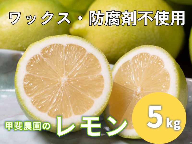 ワックス・防腐剤不使用の皮ごと使えるレモン5㎏【配送時期：9月上旬～4月下旬】