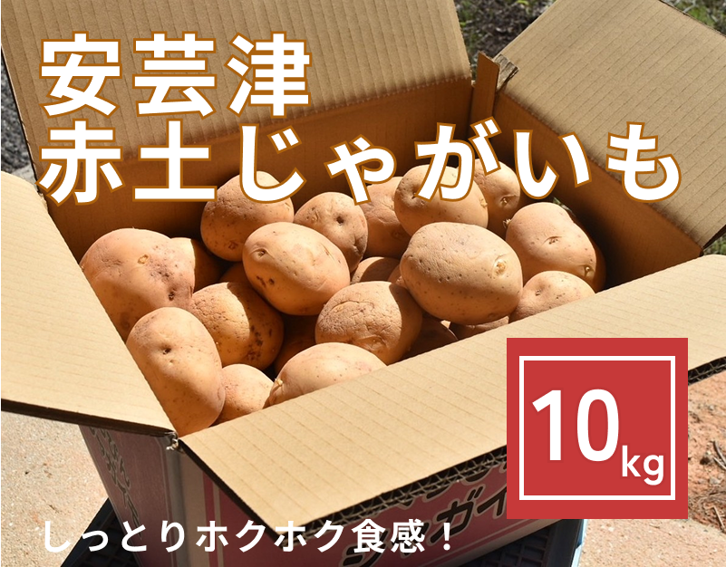 【予約商品】安芸津　赤土じゃがいも　10kg【配送時期:6月上旬～8月上旬/11月下旬～1月上旬】