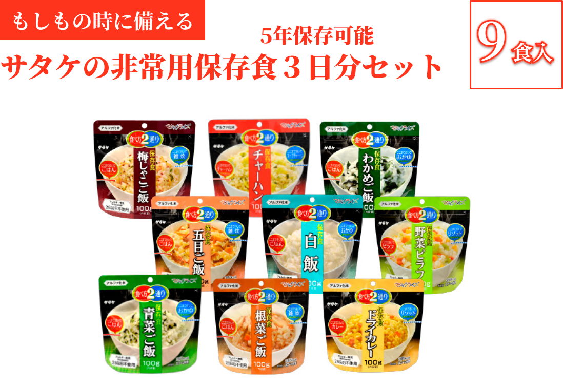 非常食　防災食　5年保存　簡単　サタケの非常用保存食3日分セット