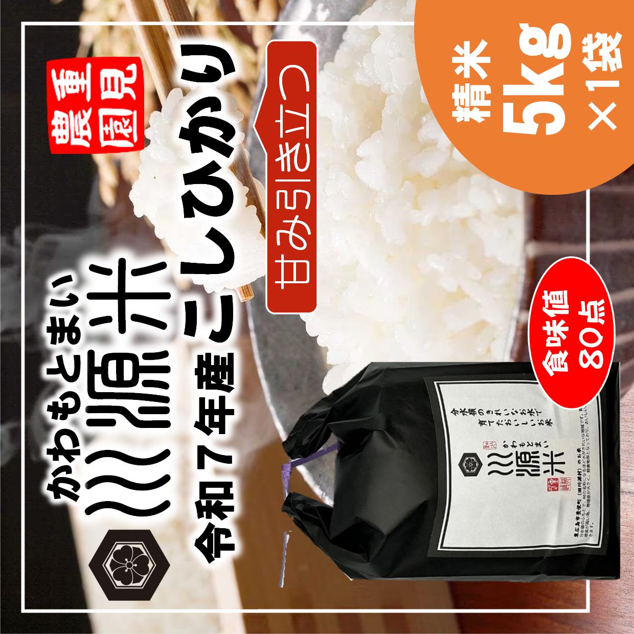 川源米　令和7年産こしひかり　出荷直前精米　5kg