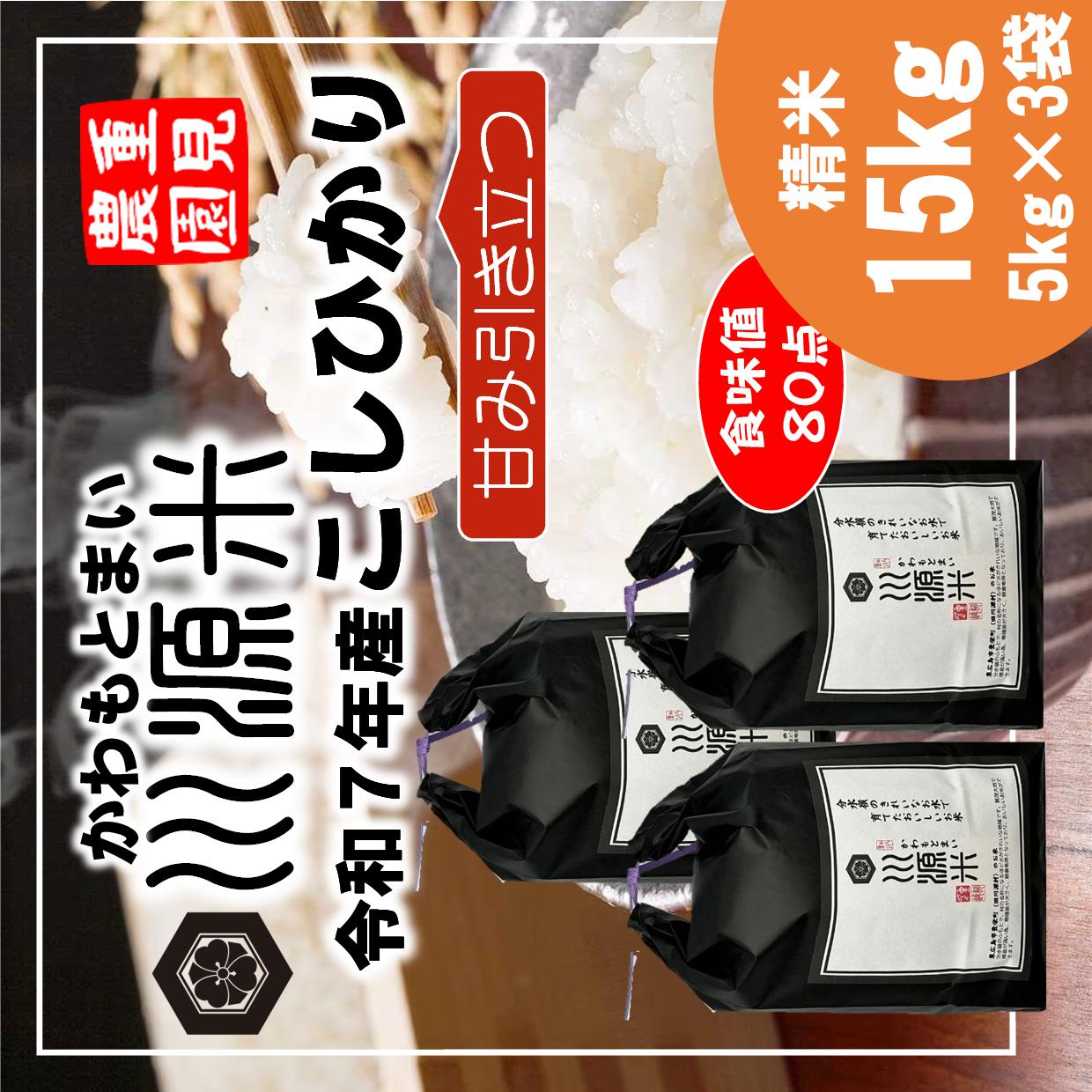 川源米　令和7年産こしひかり　出荷直前精米　15kg(5kg×3袋)