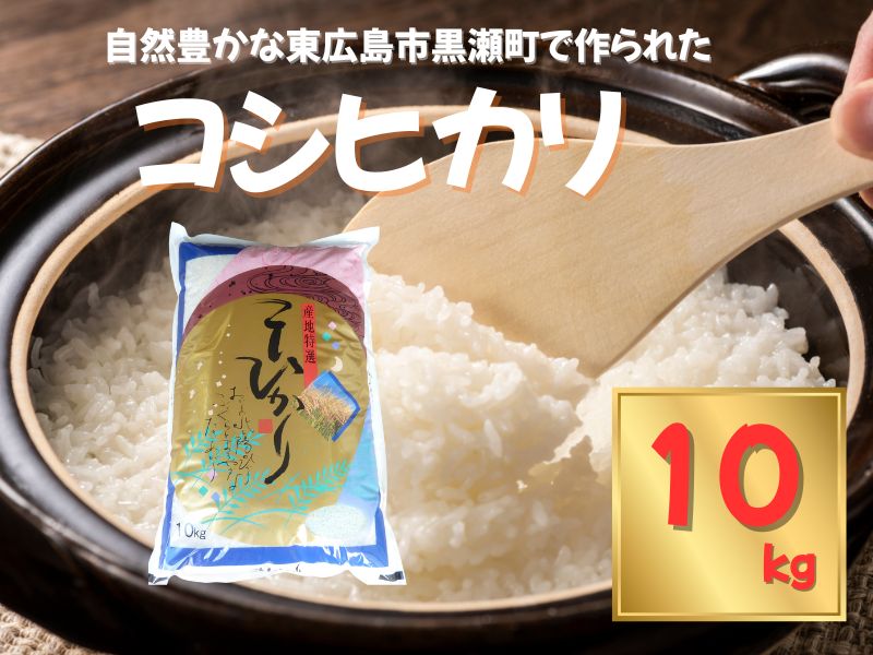 東広島市産米 令和7年産 コシヒカリ 10kg