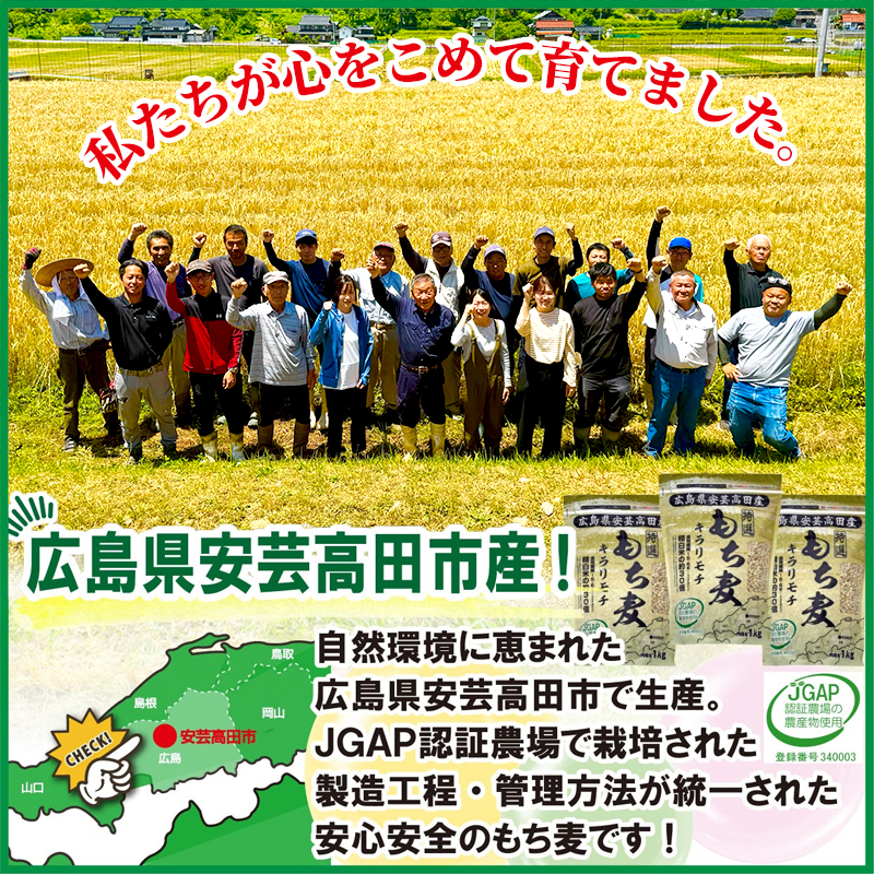 広島県安芸高田産 特選もち麦 キラリモチ 3.3kg + 国内産十六穀米 720g セット 国産