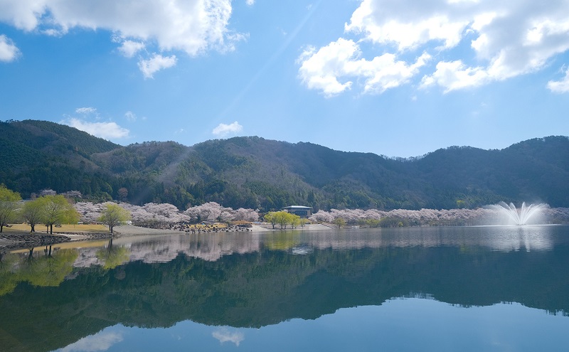 【返礼品なし】「 安芸高田市 」への寄附 10,000円コース