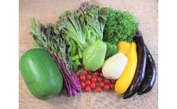 旬の野菜・定期便（6か月）【配達不可：北海道・沖縄・離島】