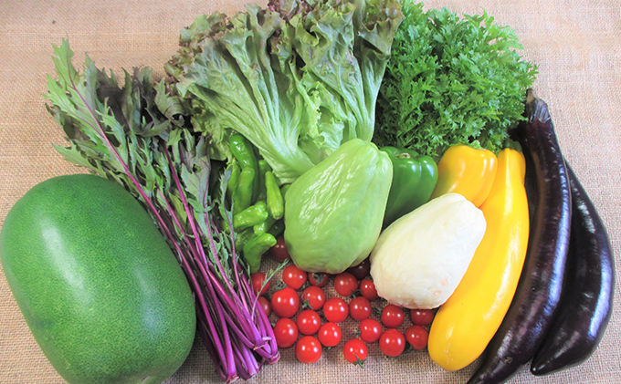 【2ヶ月毎に6回お届け】 旬の野菜・定期便（12か月）