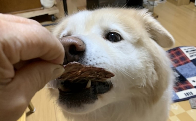 ペットフード クセになるおやつ 鹿肉ジャーキー 60g×2袋