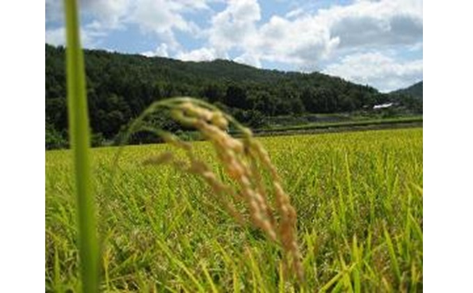 旬の野菜とお米のセット【配達不可：北海道・沖縄・離島】