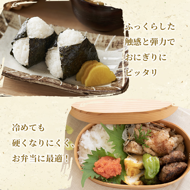 米 令和7年産 ミルキークイーン10kg （5kg×2袋） 2025年 広島県安芸高田市産 白米 お米 こめ コメ おこめ