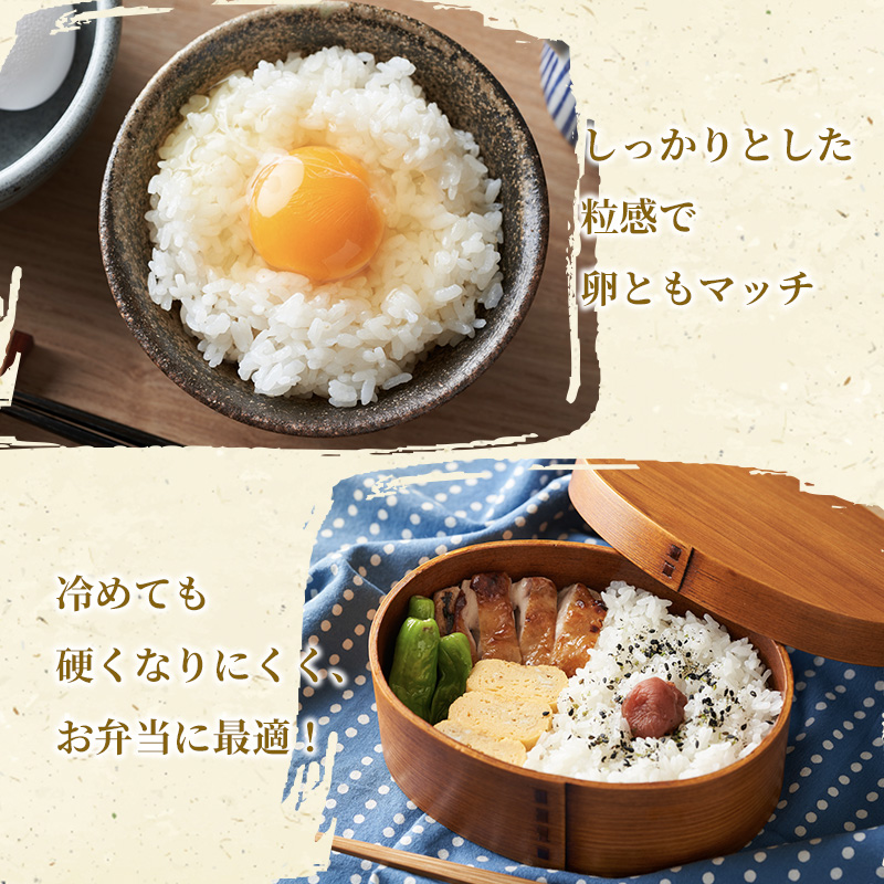 米 【定期便2ヶ月】令和5年 広島県安芸高田市産 こしひかり 真空パック 8kg（4kg×2袋）