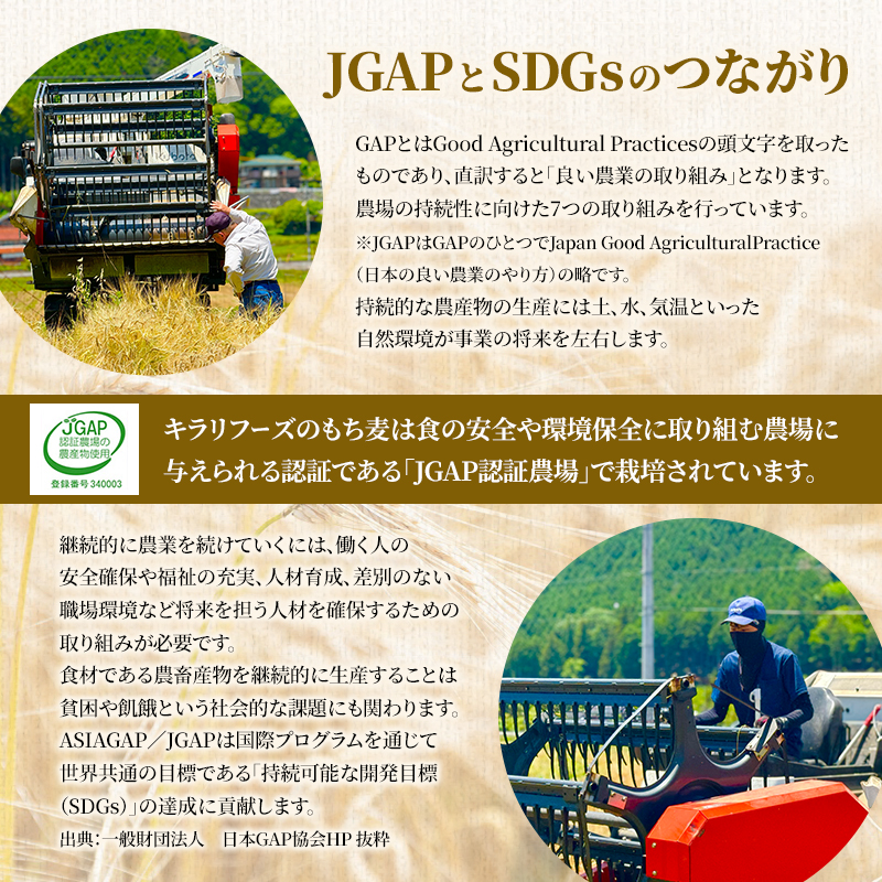 広島県安芸高田産 特選もち麦 キラリモチ 6.6kg + 国内産十六穀米 480g セット 国産