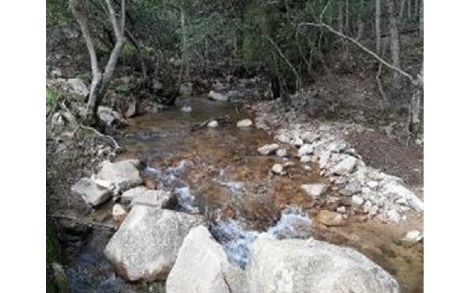 旬の野菜とお米のセット【配達不可：北海道・沖縄・離島】
