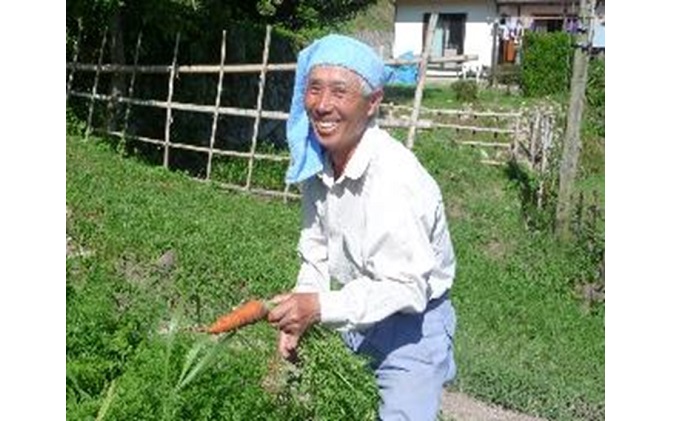 旬の野菜【L】セット【配達不可：北海道・沖縄・離島】