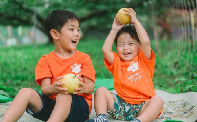 ●先行予約●安芸高田市【かしもと農園】二十世紀梨 5kg