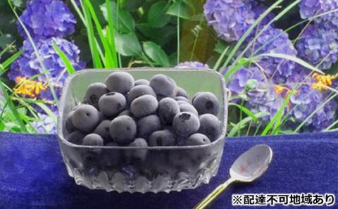 タカトーファーム　冷凍ブルーベリー　サイズL　1kg