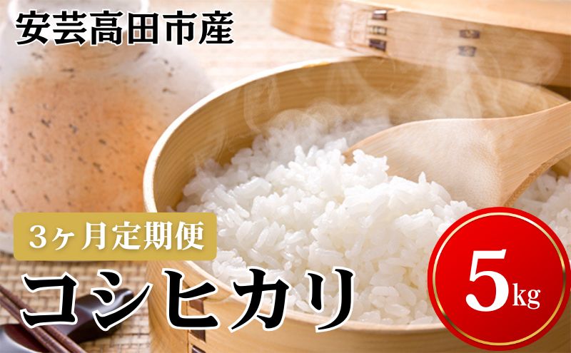 米 【3ヶ月お届け】令和7年産　安芸高田市産コシヒカリ5kg 精米／コシヒカリ こめ こしひかり 定期便