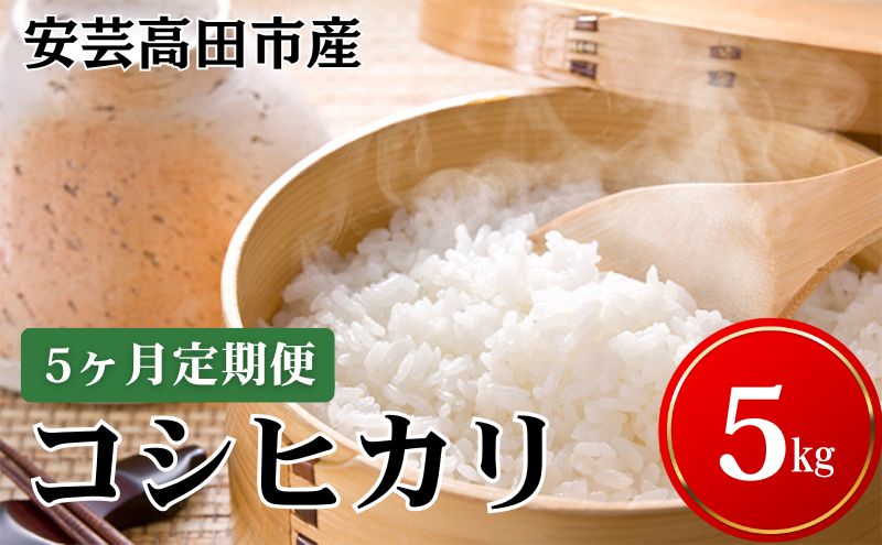 米 【5ヶ月お届け】令和7年産　安芸高田市産コシヒカリ5kg 精米／コシヒカリ こめ こしひかり 定期便