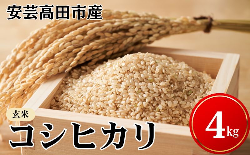 米 令和7年産　安芸高田市産コシヒカリ『玄米』 4kg お米
