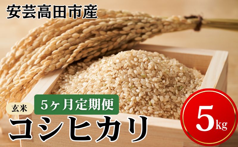 米 【5ヶ月お届け】令和7年産　安芸高田市産コシヒカリ『玄米』5kg お米 定期便